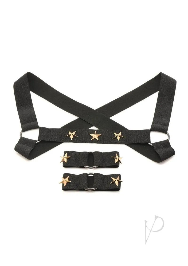 Ms Rave Chest Harness S/m Blk/gld